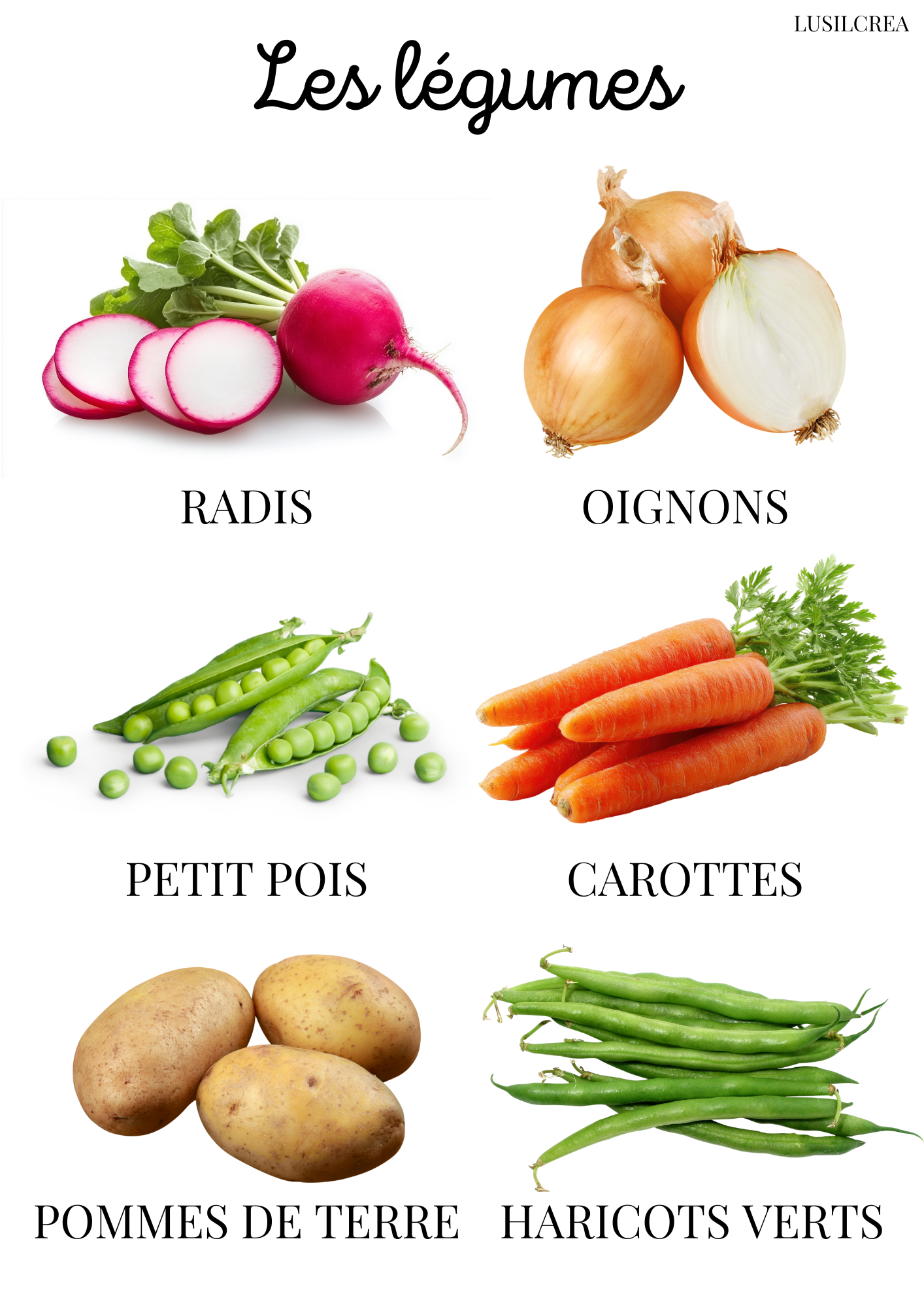 Les légumes - visuels réels