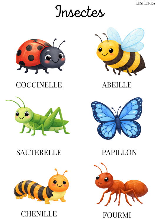 Les animaux du monde - 13 pages