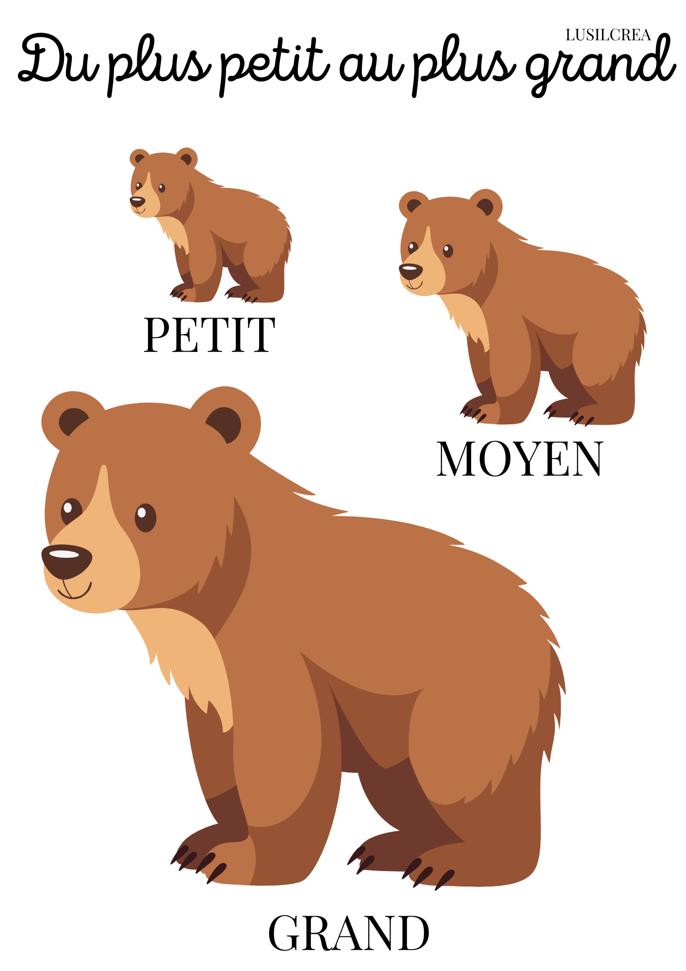 Du plus petit au plus grand - Ours