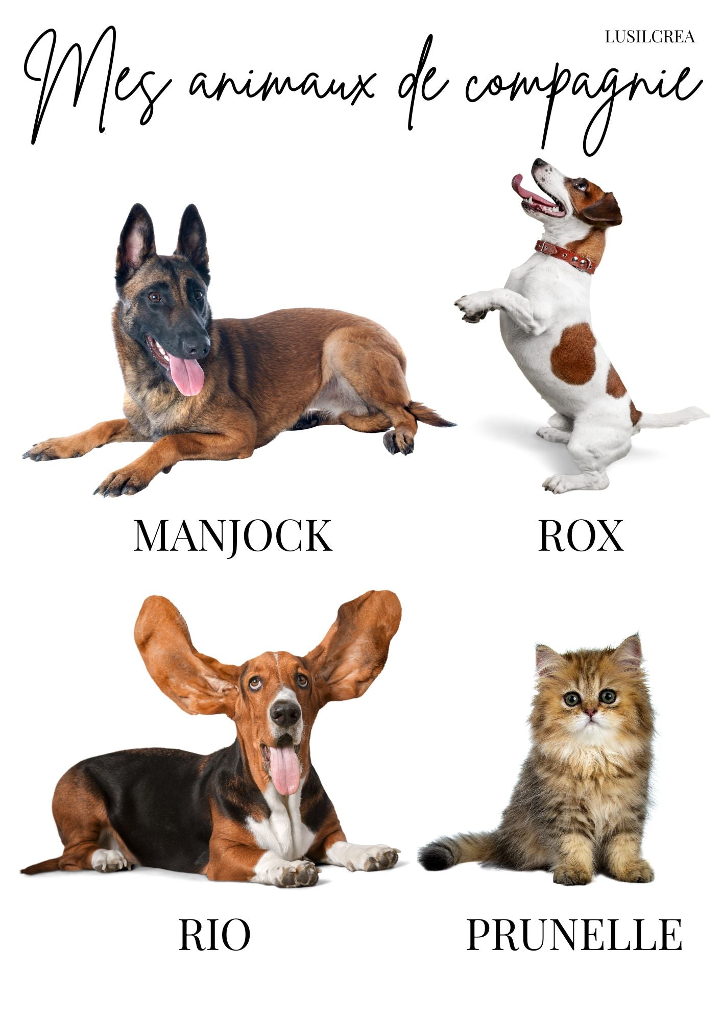 Mes animaux de compagnie