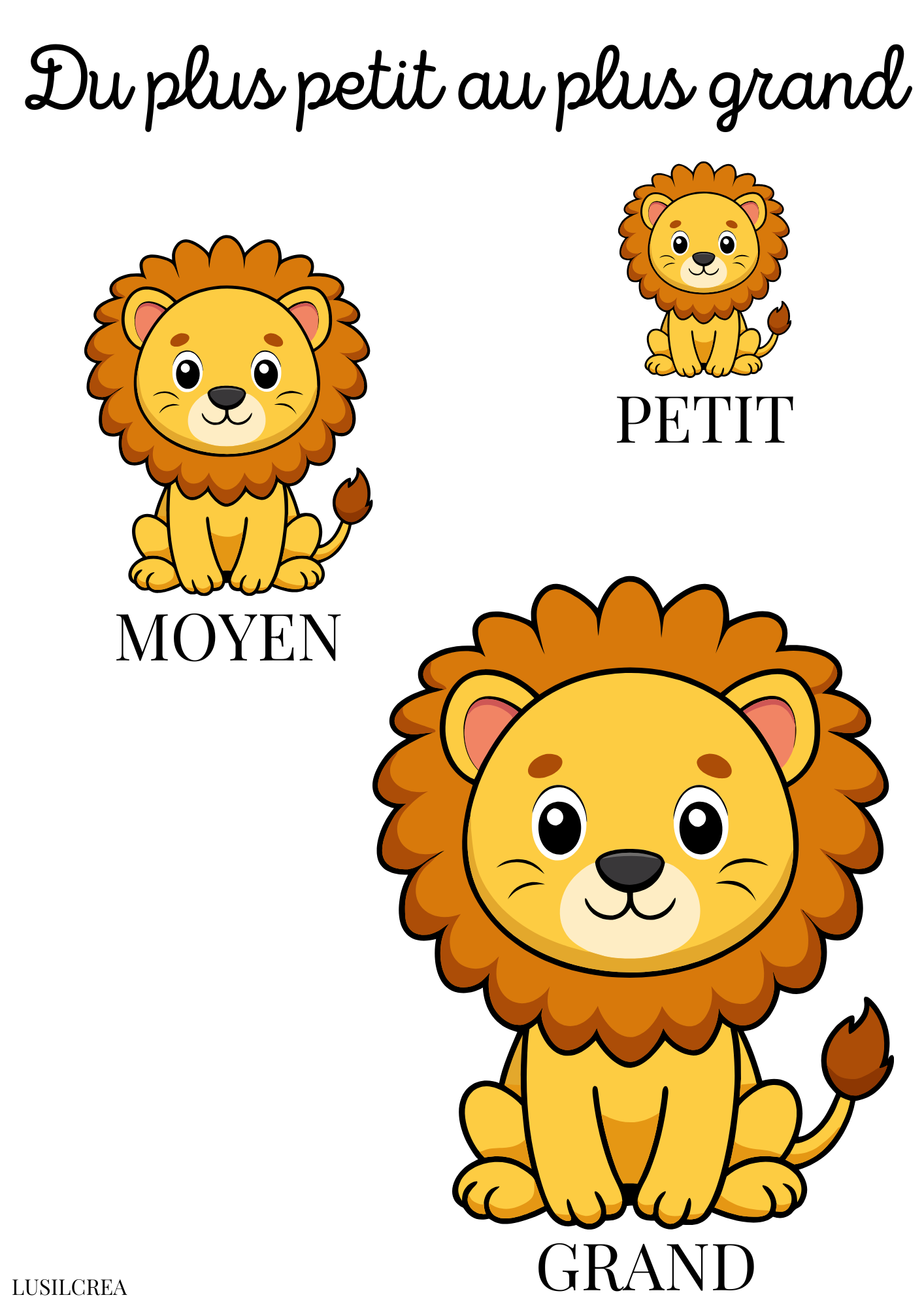 Du plus petit au plus grand - Lion
