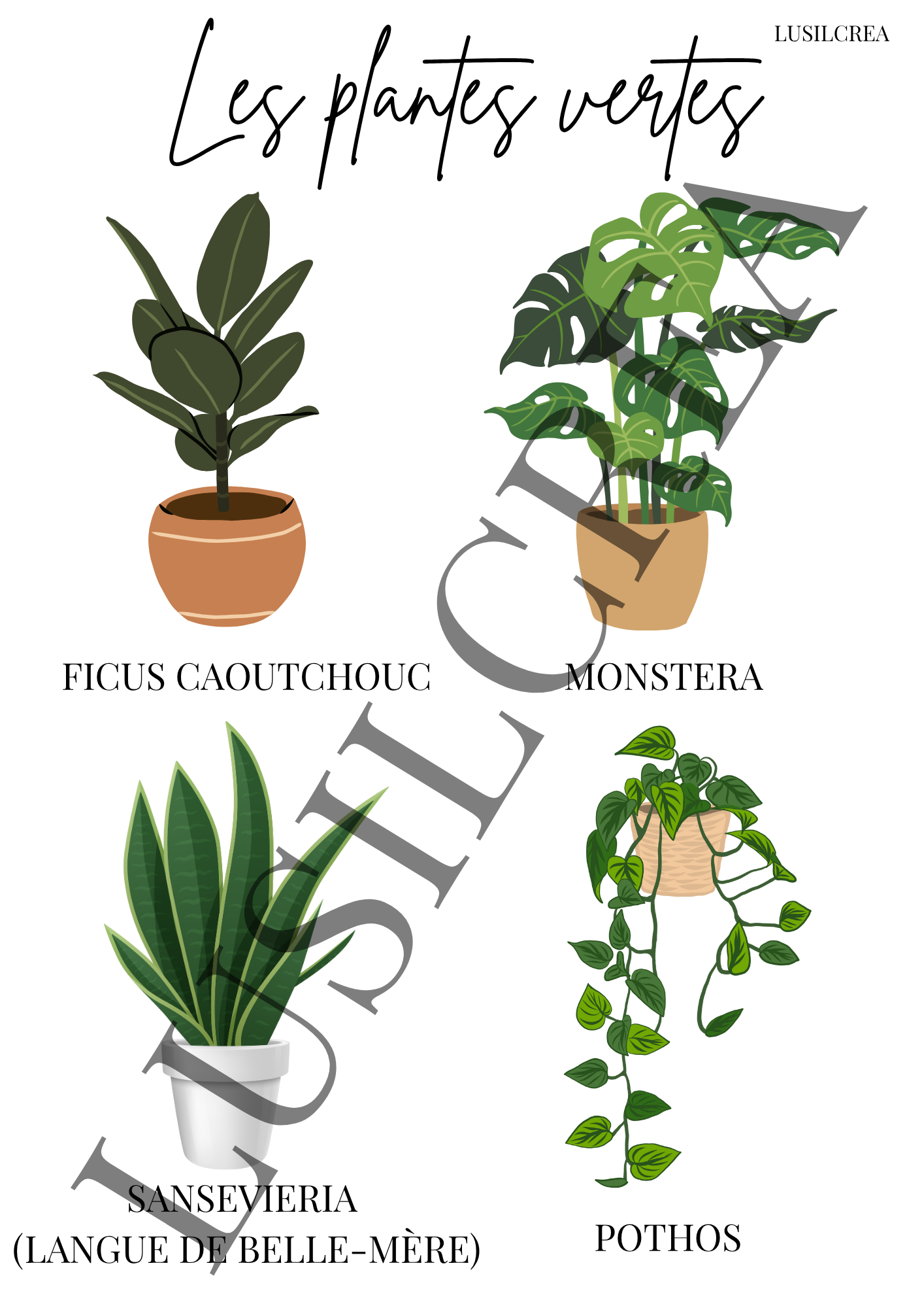 Les plantes vertes
