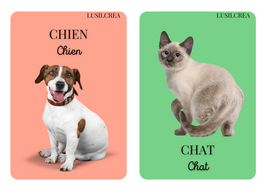 Imagier mes Premiers animaux - 30 pages d'animaux - POCKET