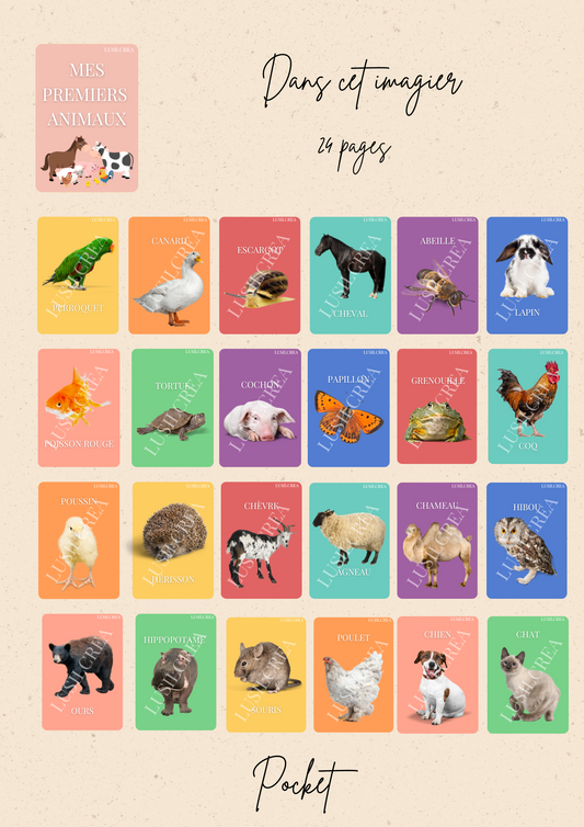 Imagier mes Premiers animaux - 24 pages - POCKET