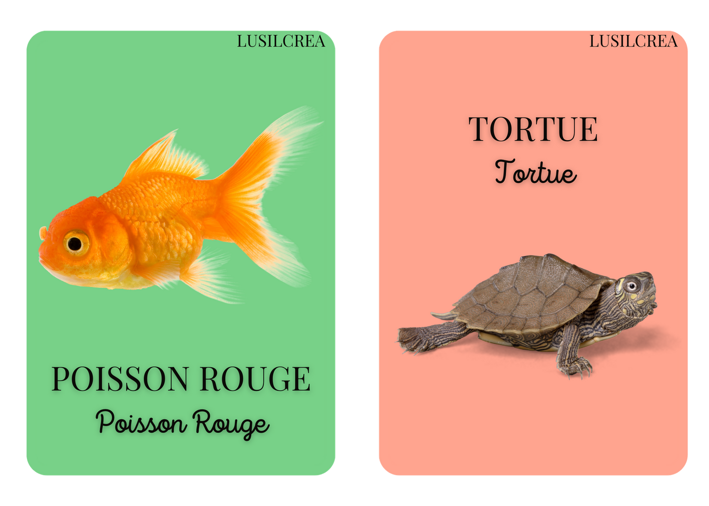 Imagier mes Premiers animaux - 30 pages d'animaux - POCKET