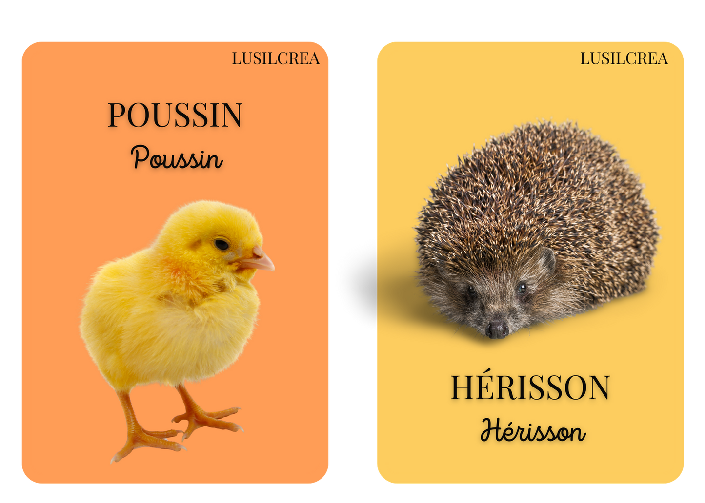 Imagier mes Premiers animaux - 30 pages d'animaux - POCKET