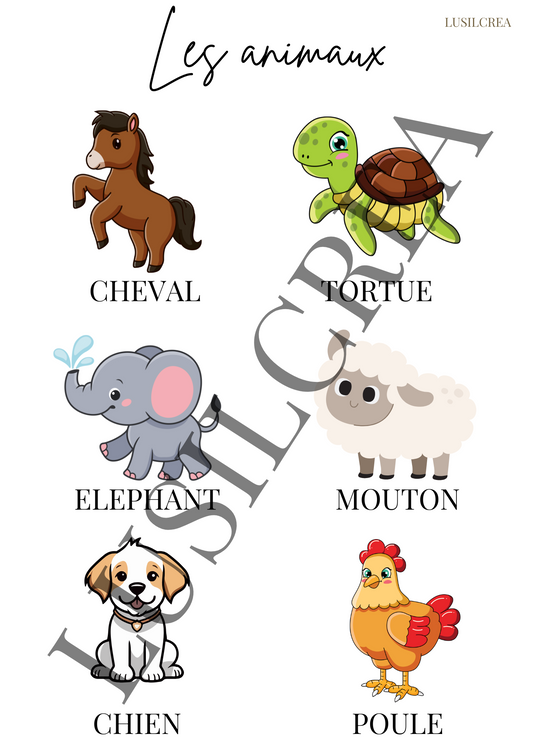 Les animaux (1)