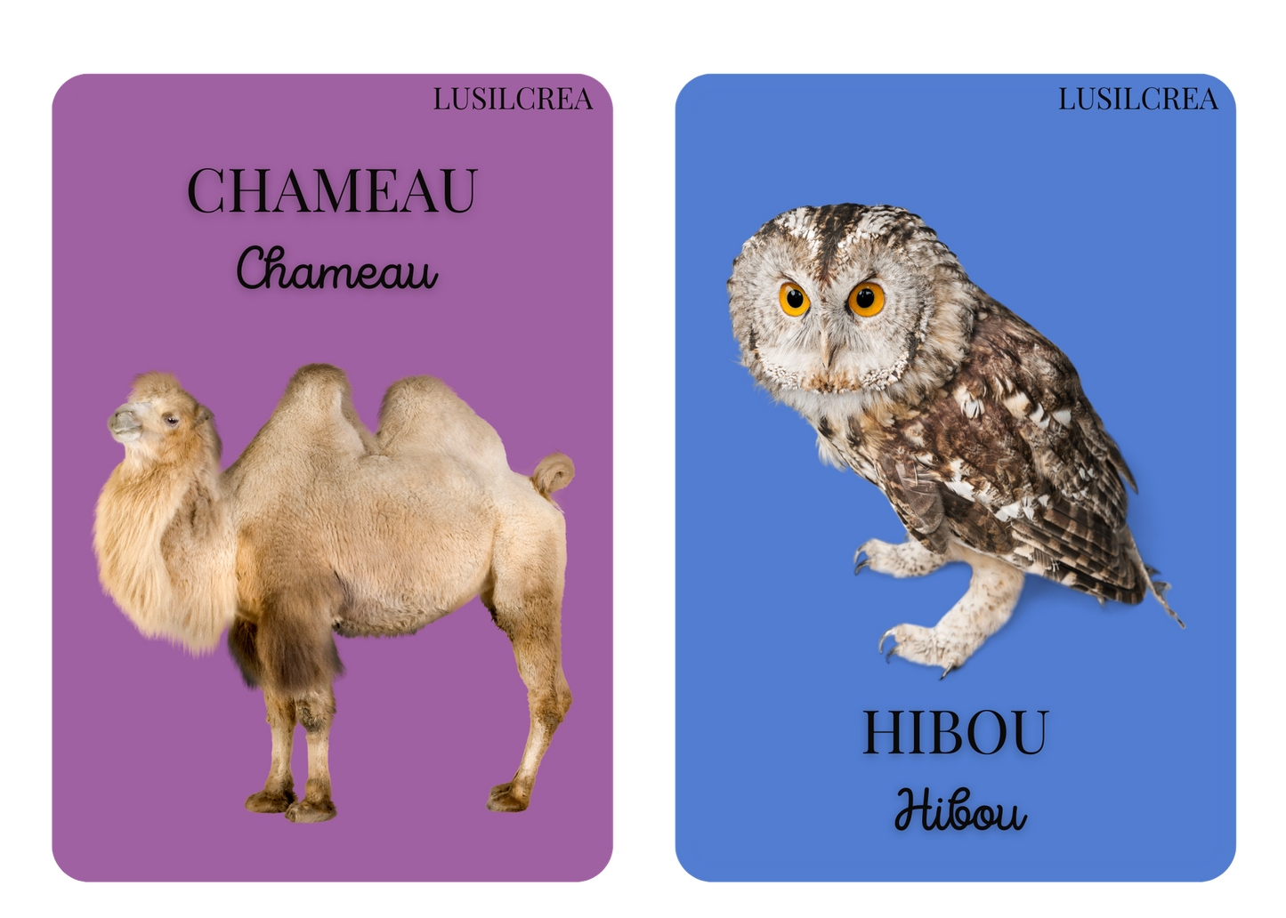 Imagier mes Premiers animaux - 30 pages d'animaux - POCKET