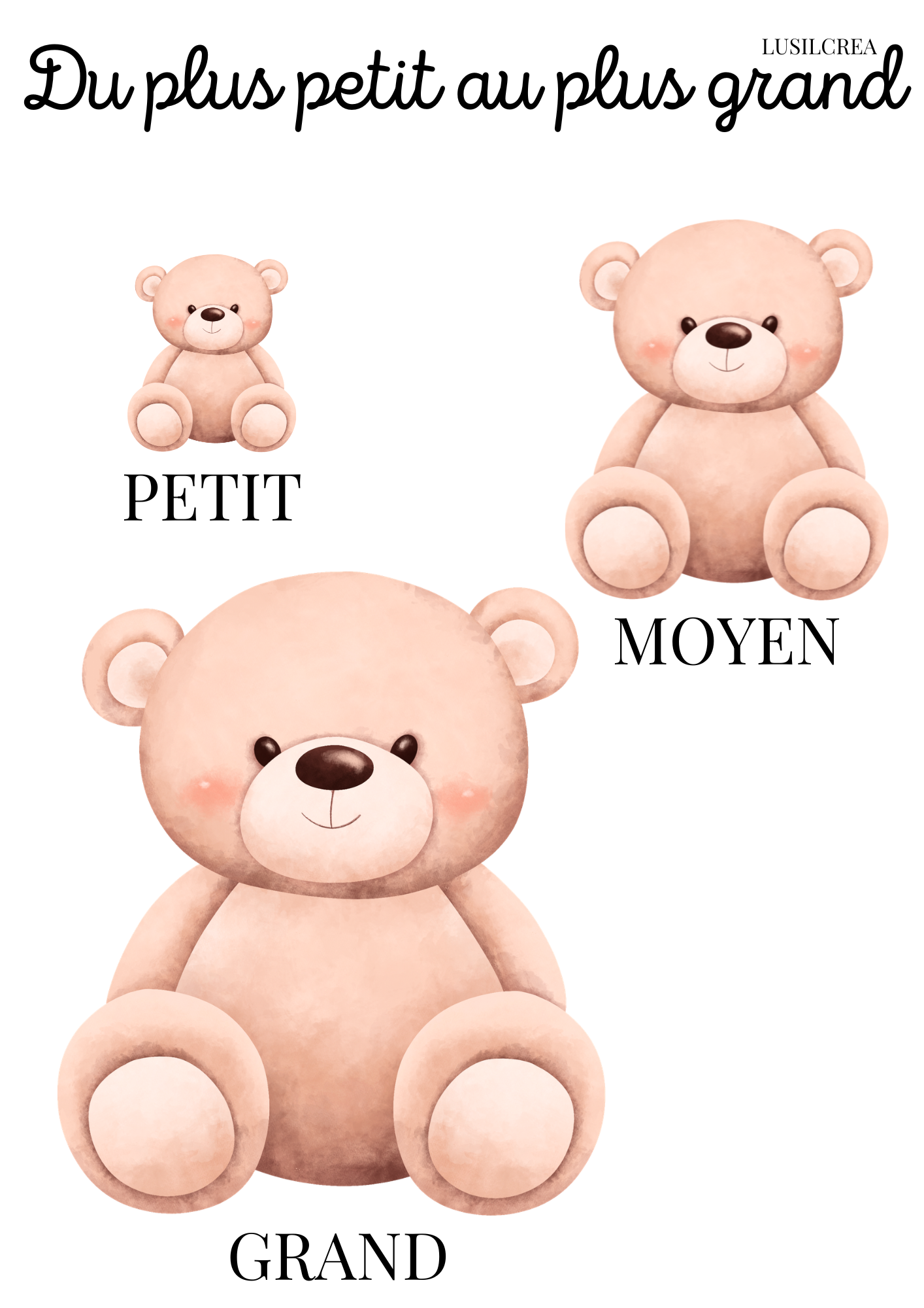 Du plus petit au plus grand - Ourson