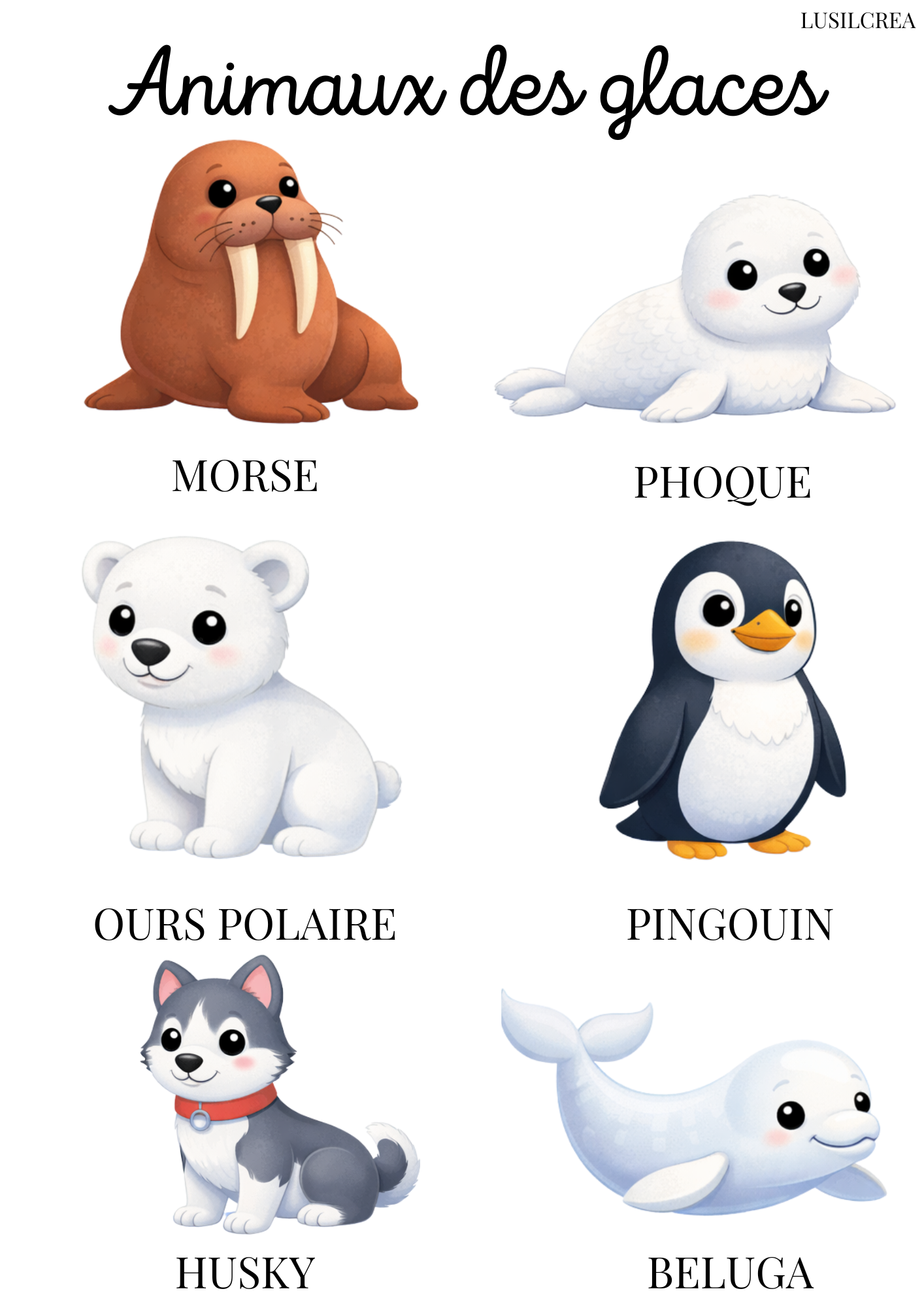 Les animaux du monde - 13 pages