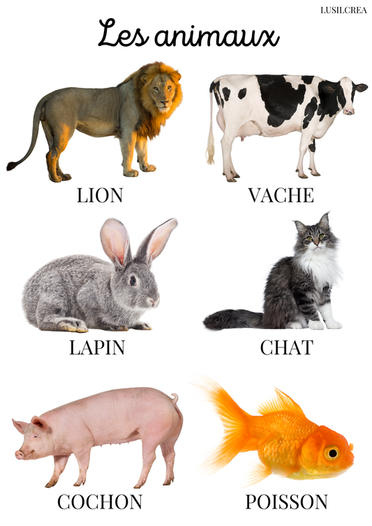 Les animaux - visuels réels (2)