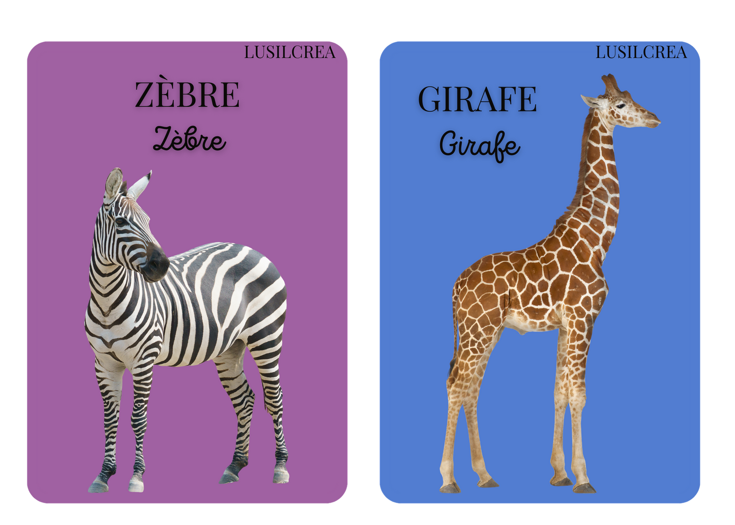 Imagier mes Premiers animaux - 30 pages d'animaux - POCKET