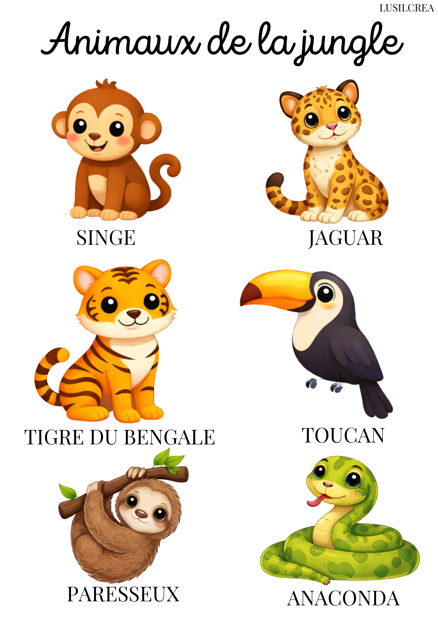 Les animaux du monde - 13 pages