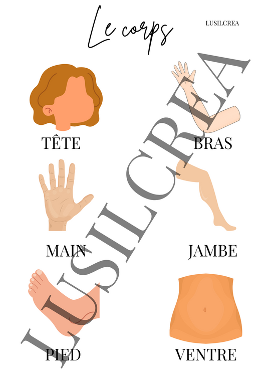 Le corps