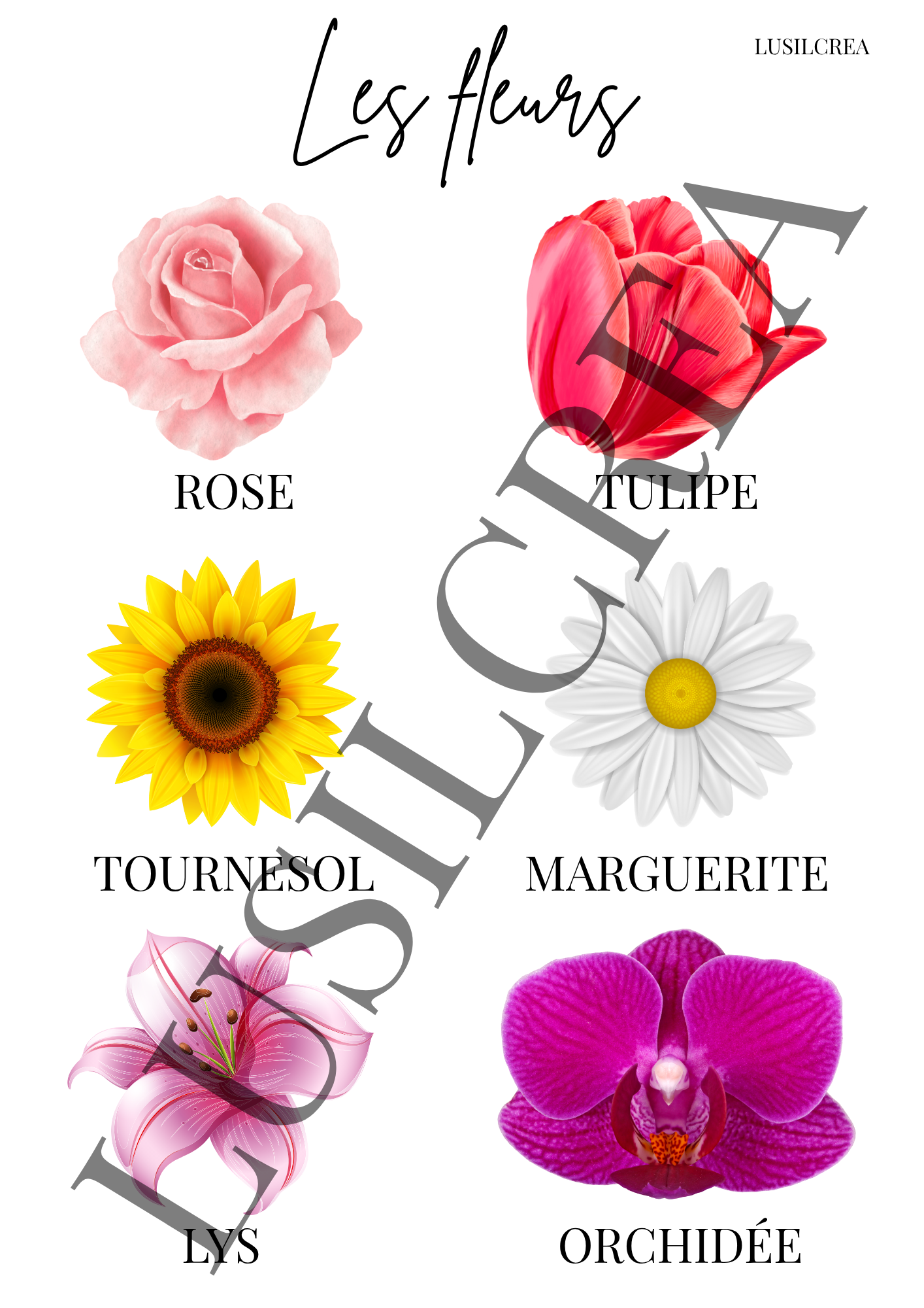 Les fleurs