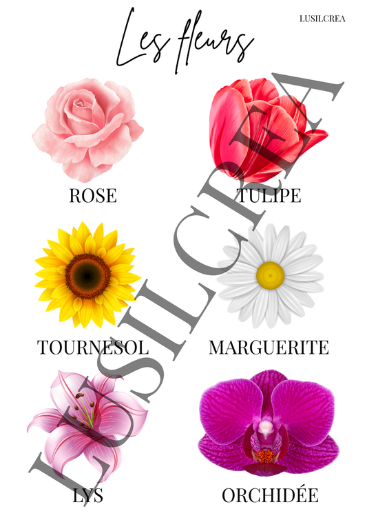 Les fleurs