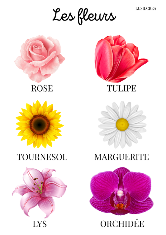 Les fleurs