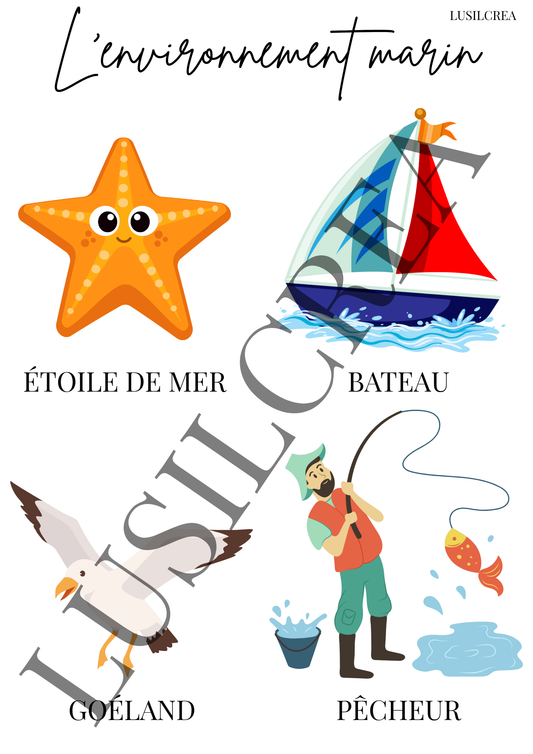 L'environnement marin
