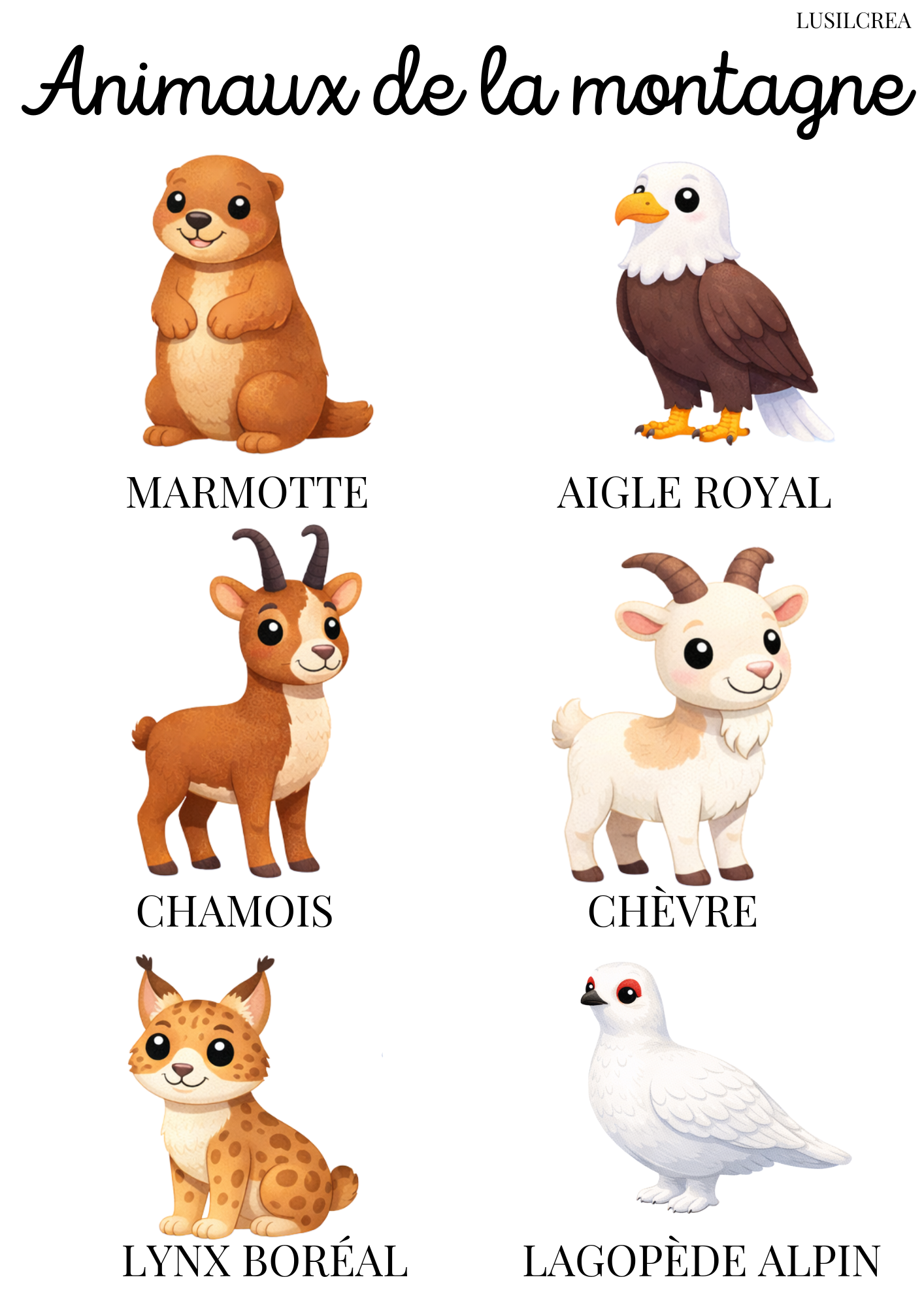 Les animaux du monde - 13 pages