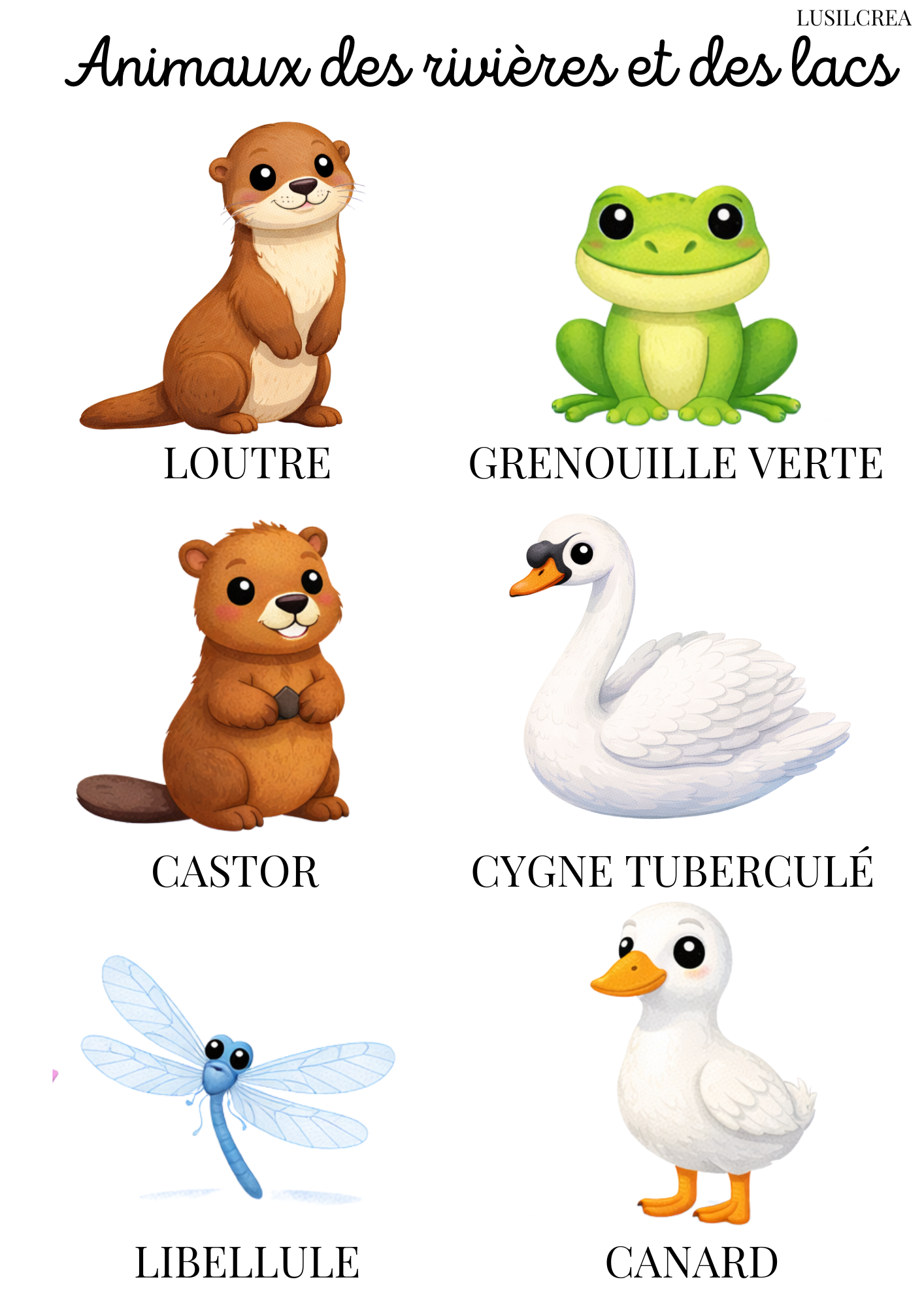 Les animaux du monde - 13 pages