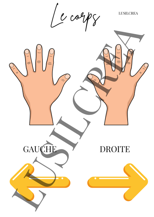 La direction