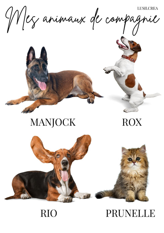 Mes animaux de compagnie