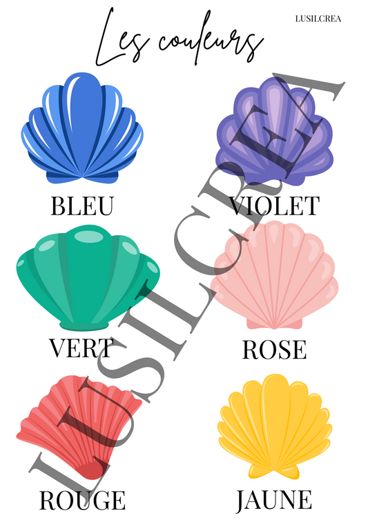 Les couleurs coquillages
