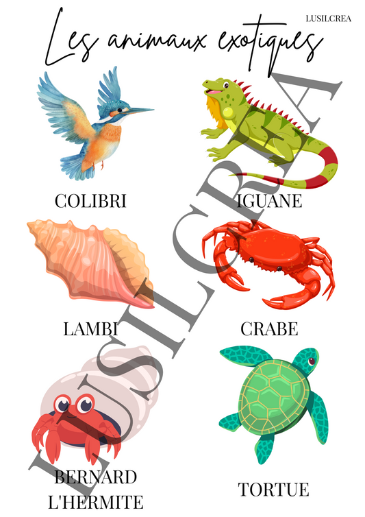 Les animaux exotiques