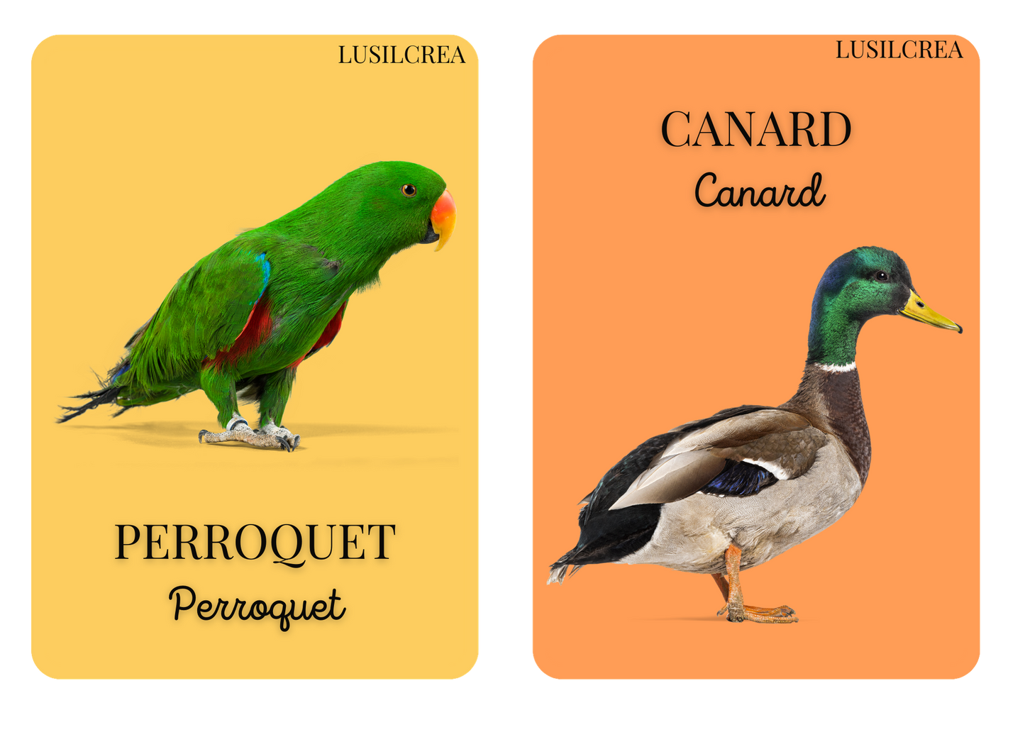 Imagier mes Premiers animaux - 30 pages d'animaux - POCKET
