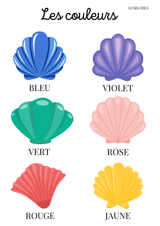 Les couleurs coquillages