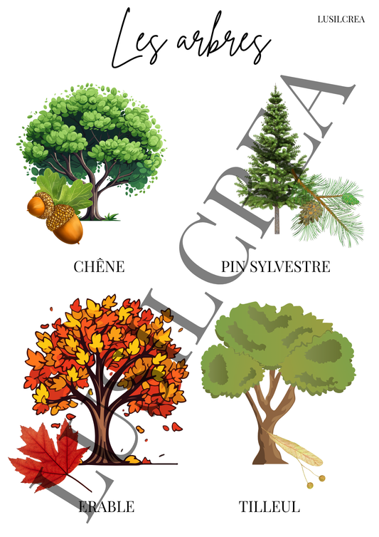 Les arbres