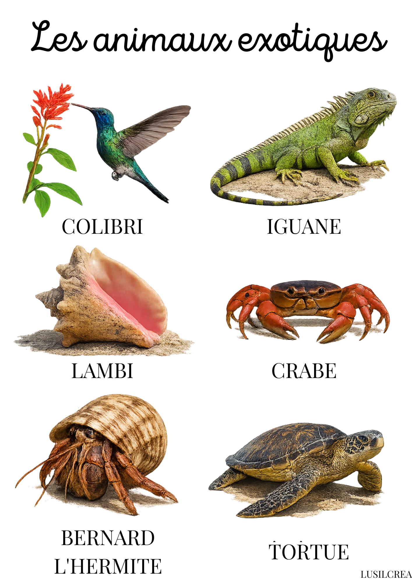 Les animaux exotiques