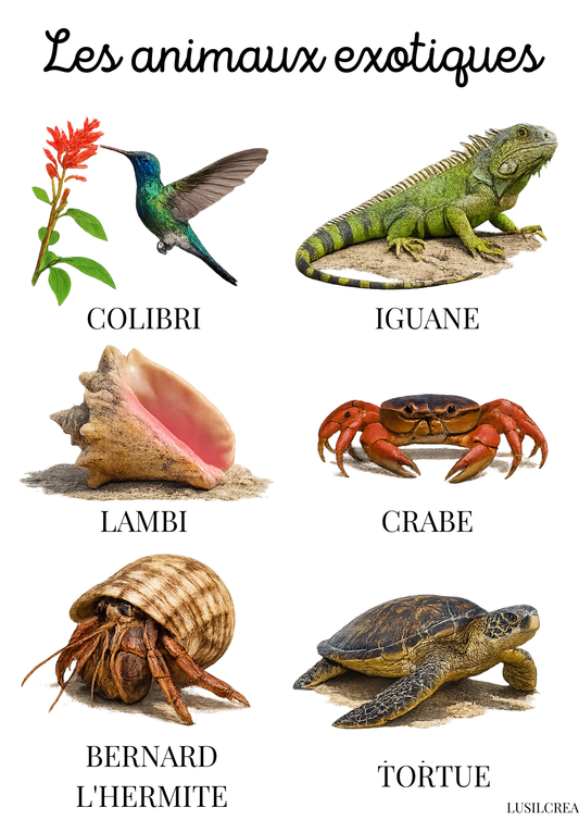 Les animaux exotiques