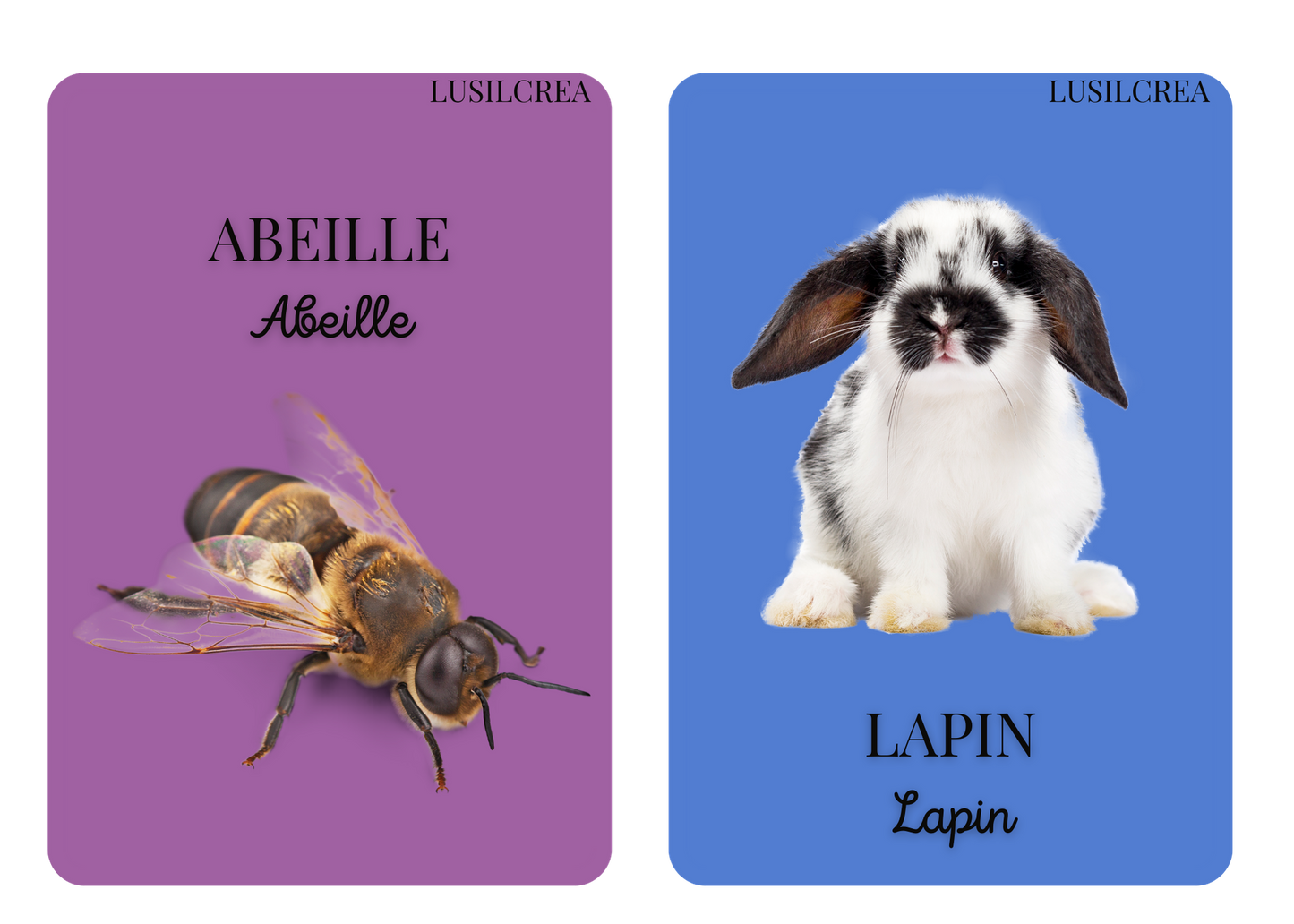 Imagier mes Premiers animaux - 30 pages d'animaux - POCKET