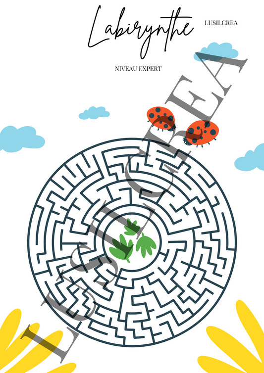 Labyrinthe niveau expert
