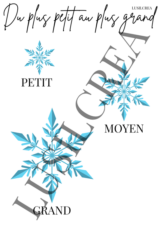 Du plus petit au plus grand - Flocon de neige
