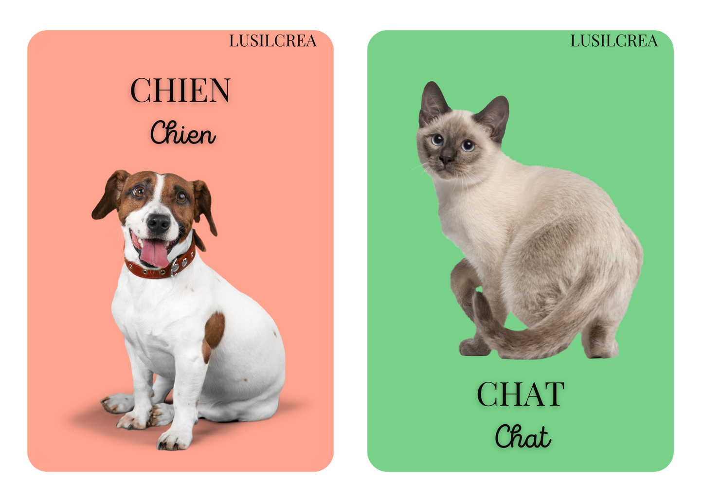 Imagier mes Premiers animaux - 30 pages d'animaux - POCKET