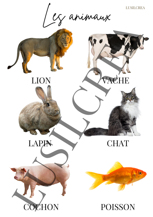 Les animaux - visuels réels (2)