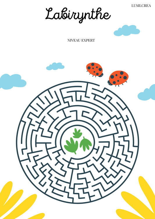 Labyrinthe niveau expert