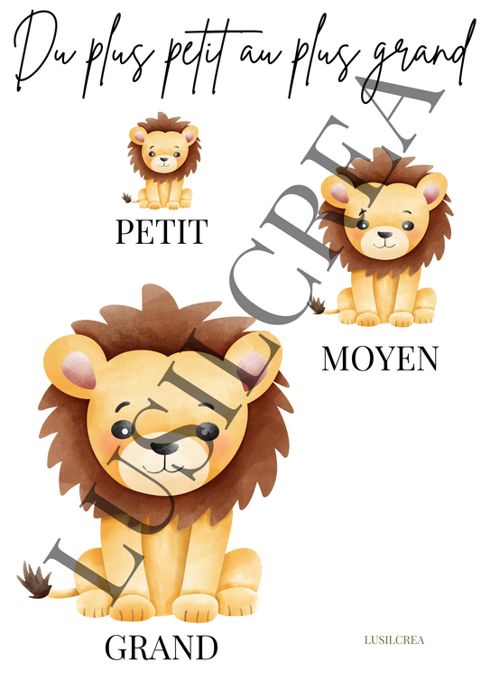 Du plus petit au plus grand - Lion