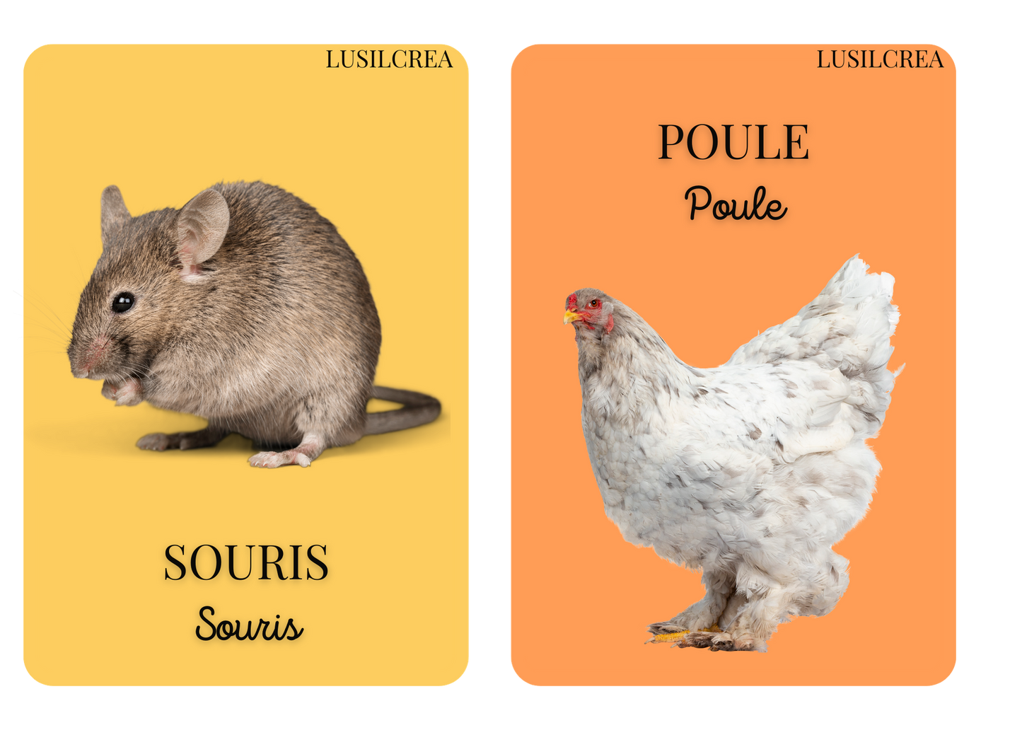 Imagier mes Premiers animaux - 30 pages d'animaux - POCKET