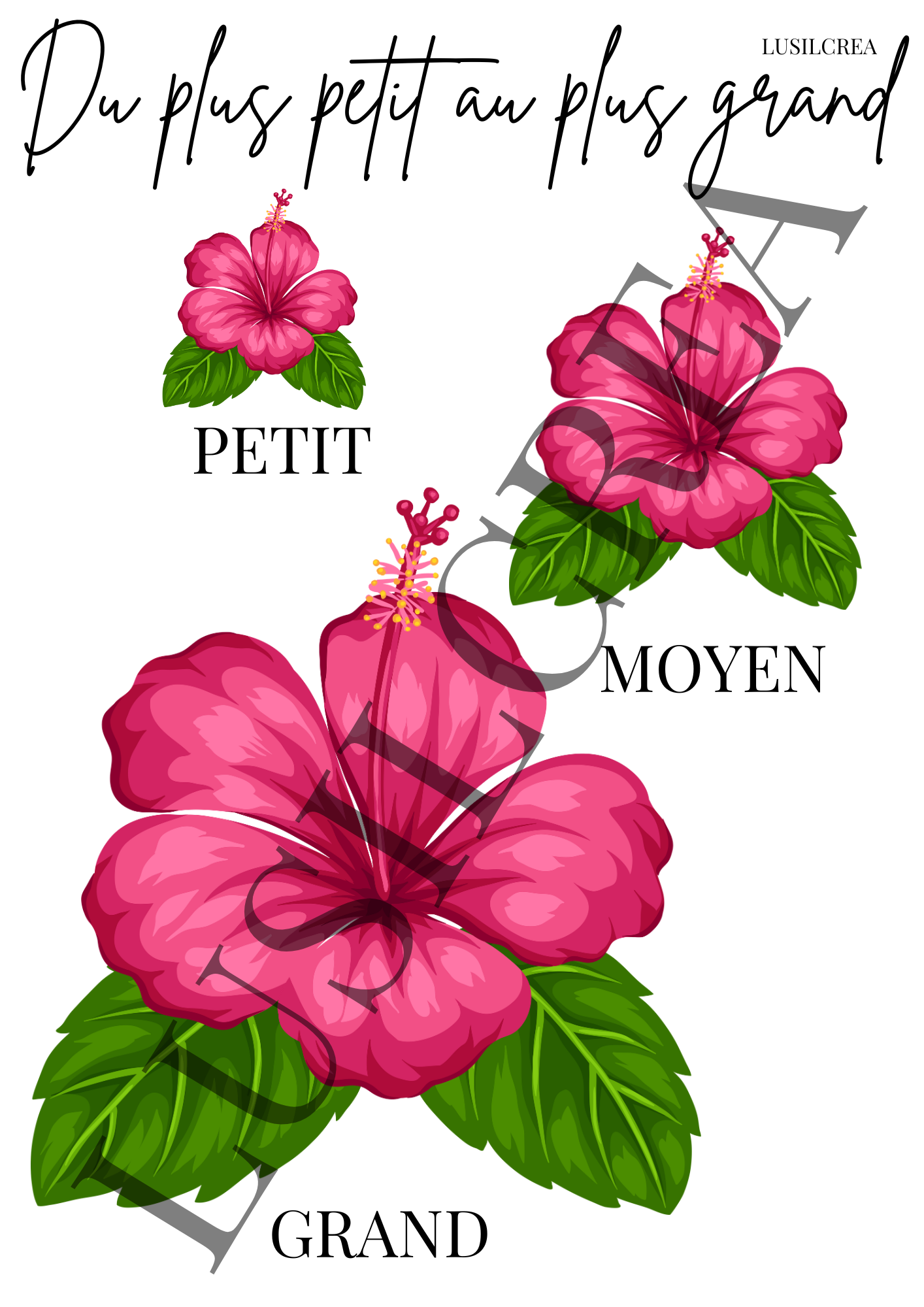 Du plus petit au plus grand - Fleurs