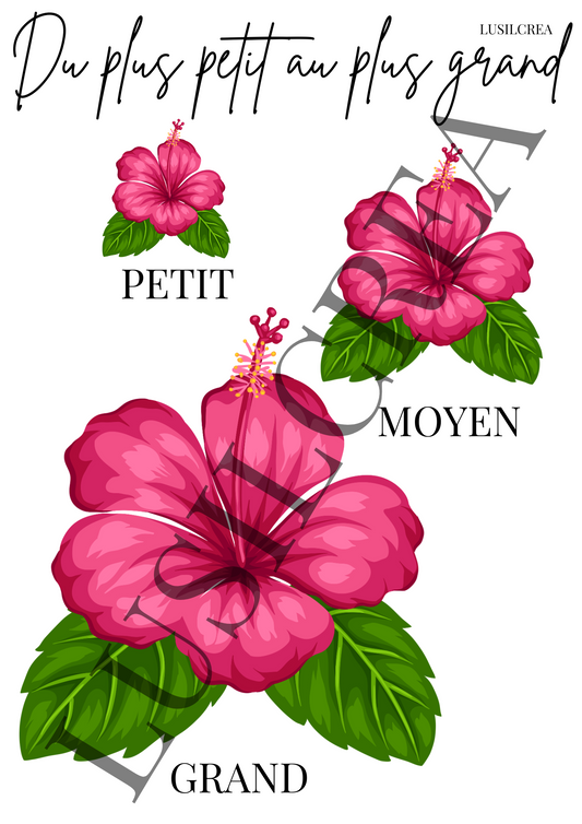 Du plus petit au plus grand - Fleurs