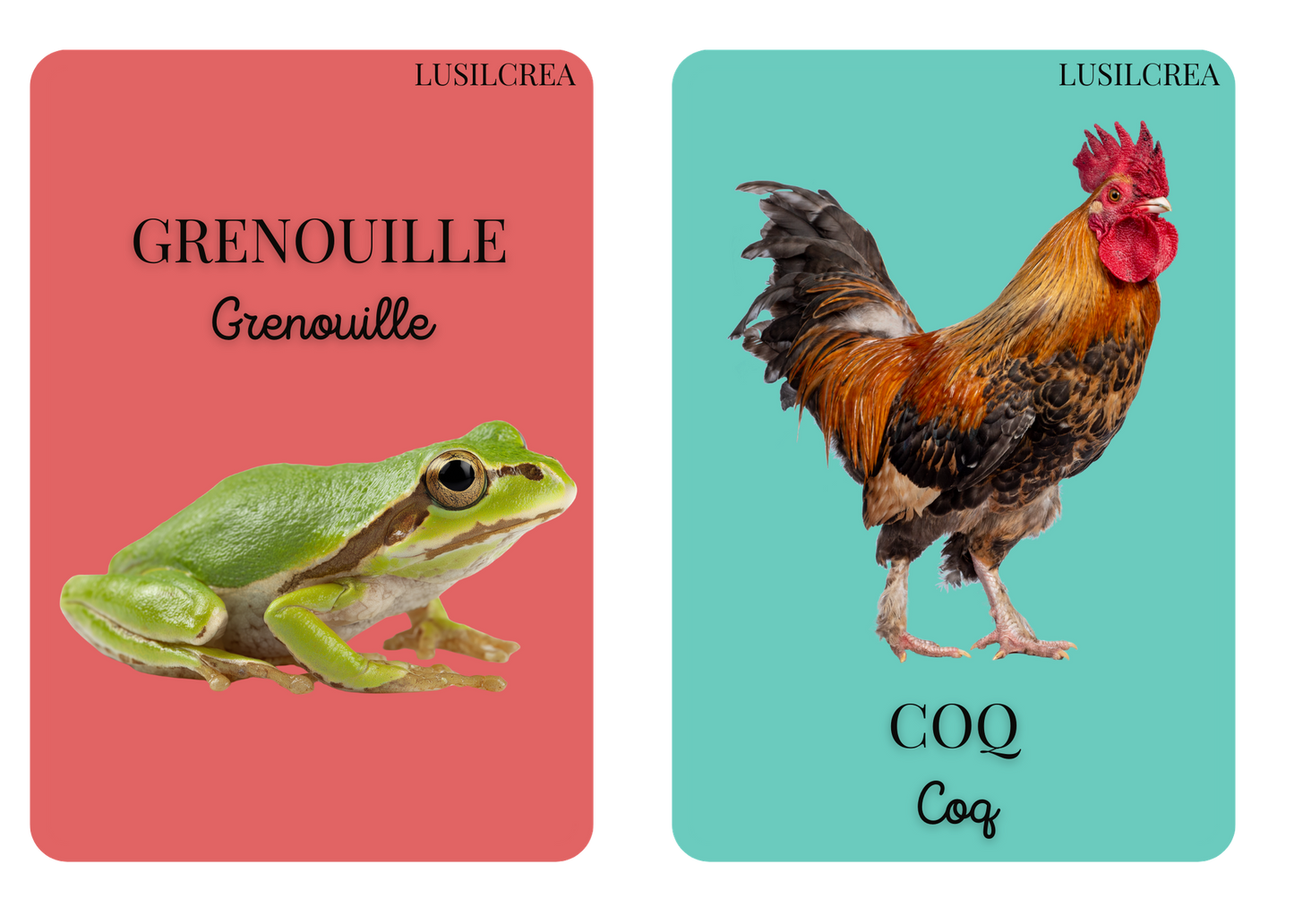Imagier mes Premiers animaux - 30 pages d'animaux - POCKET