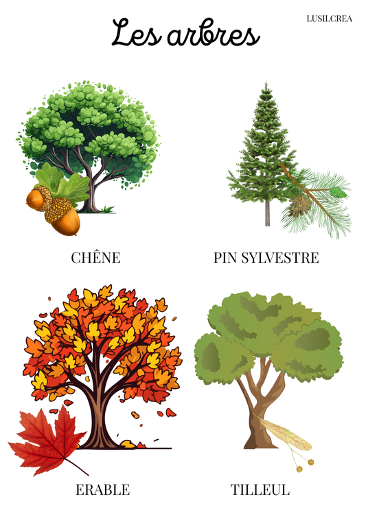 Les arbres