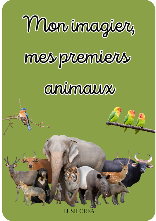 Imagier mes Premiers animaux - 30 pages d'animaux - POCKET