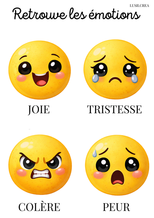 Les émotions Smiley